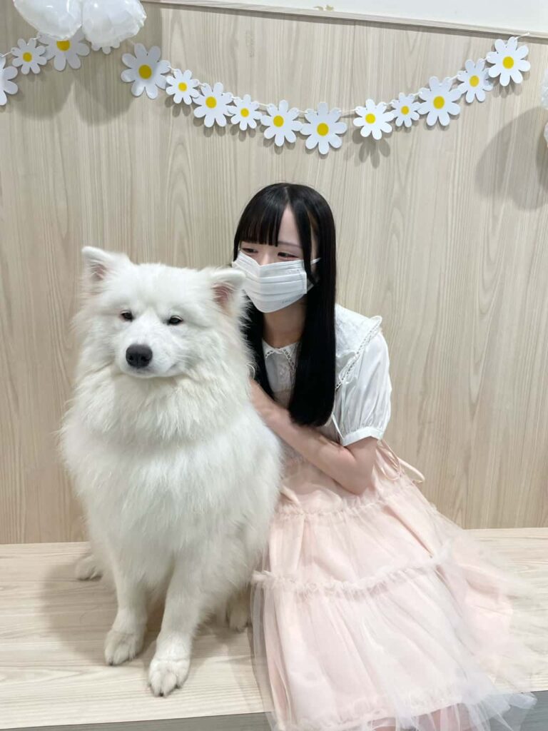 小晴 のか（こはる のか）【オレンジ】プロフィール｜MEGAFON【メガフォン】画像