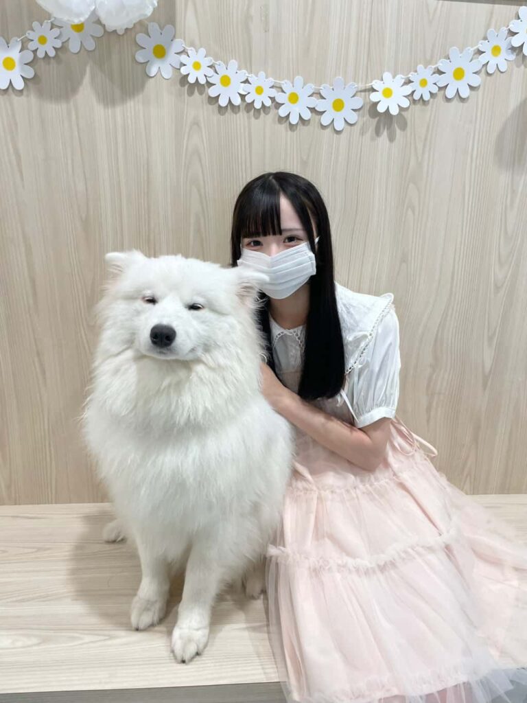 小晴 のか（こはる のか）【オレンジ】プロフィール｜MEGAFON【メガフォン】画像