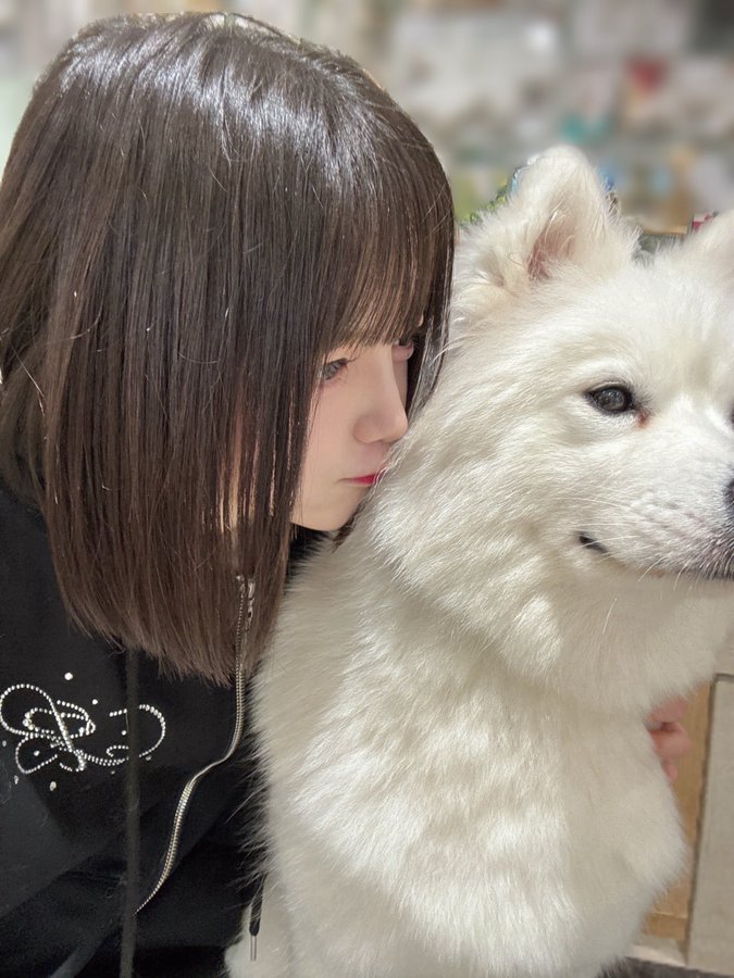 明音 いろは(らむね いろは)【ブルー】プロフィール|MEGAFON【メガフォン】画像