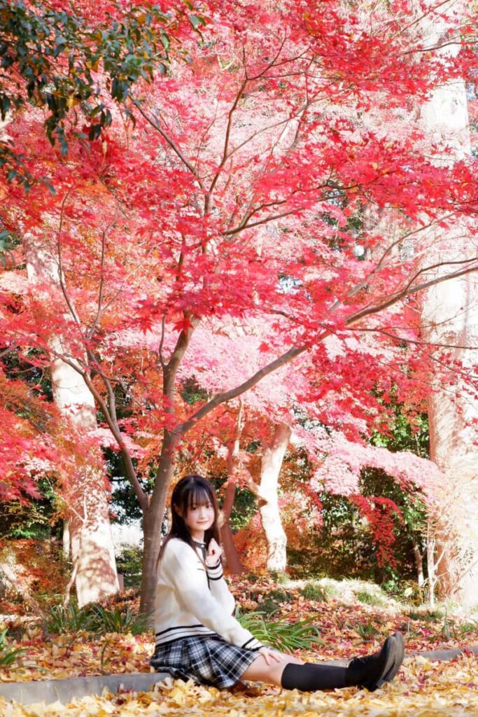 柑乃あい( かんの あい )【イエロー】プロフィール｜Pastel Closet【パスクロ】画像