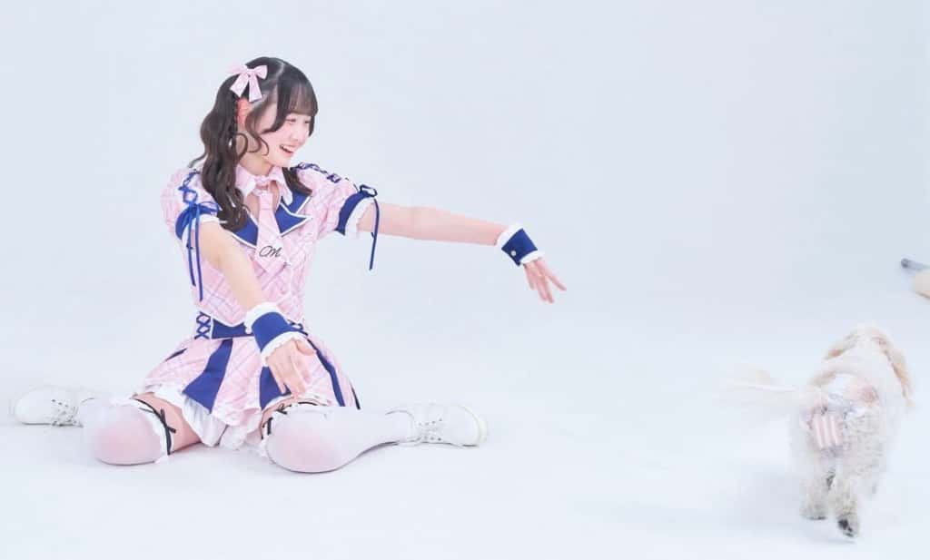 柑乃あい( かんの あい )【イエロー】プロフィール｜Pastel Closet【パスクロ】画像