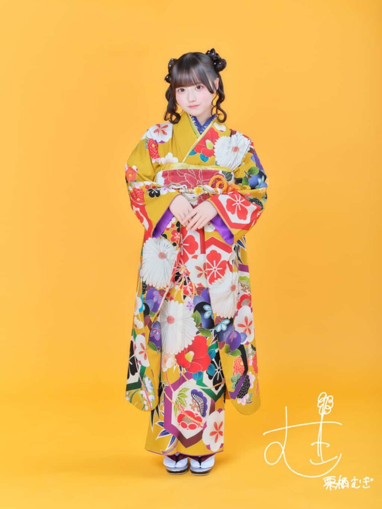アーティスト写真 : 正月着物 2026 | iON!(アイオン)