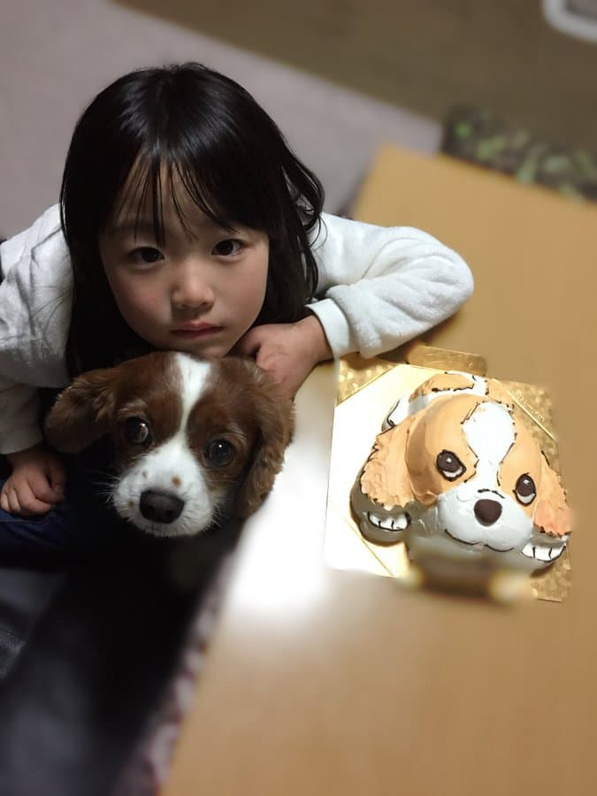 栗栖 むぎ(くりす むぎ)【黄色】プロフィール|iON!【アイオン】 画像