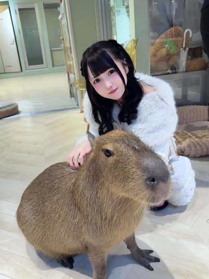 伽久耶 くらら（かぐや くらら）【紫色】プロフィール｜iON!【アイオン】　画像