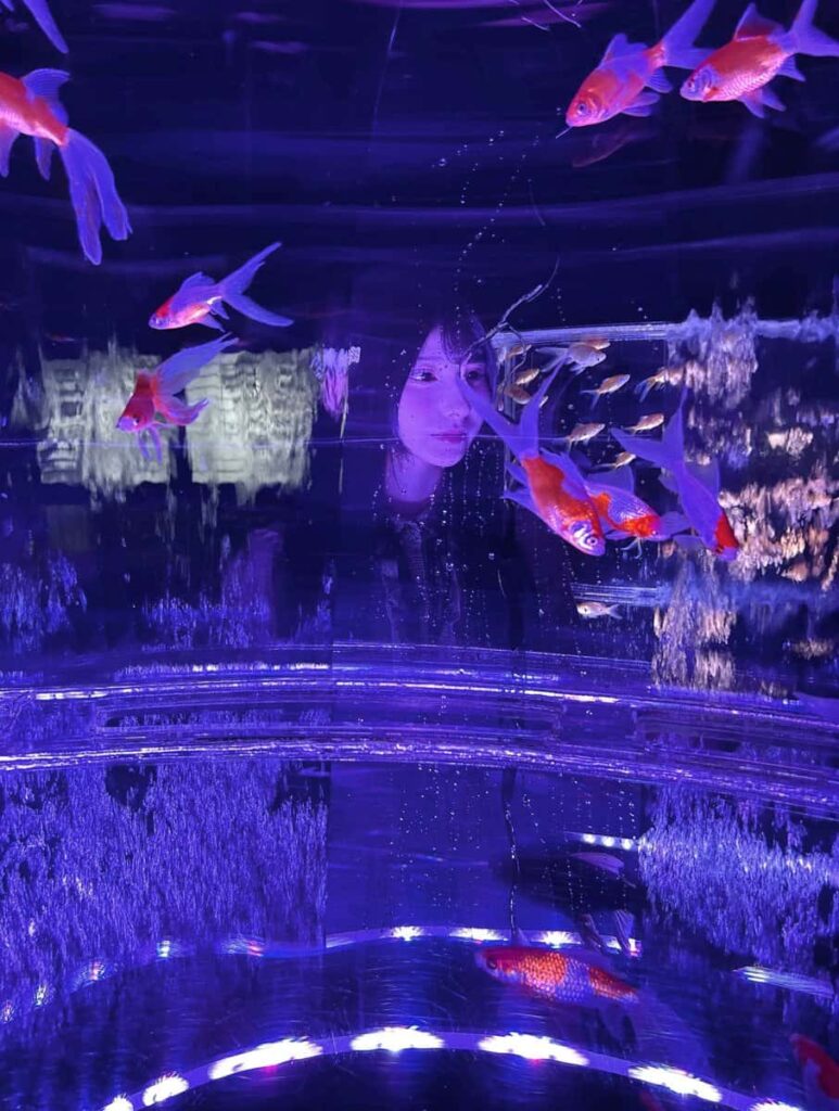 鈴都りせ(すずみや りせ)【青色】プロフィール|iON!【アイオン】 画像