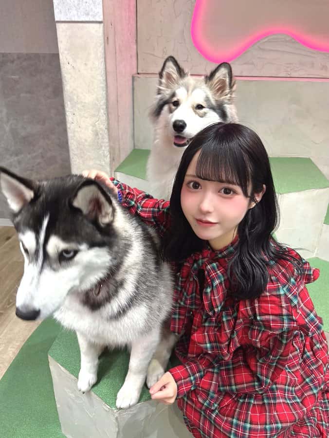 伽久耶 くらら(かぐや くらら)【紫色】プロフィール|iON!【アイオン】 画像