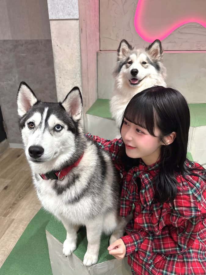 伽久耶 くらら(かぐや くらら)【紫色】プロフィール|iON!【アイオン】 画像