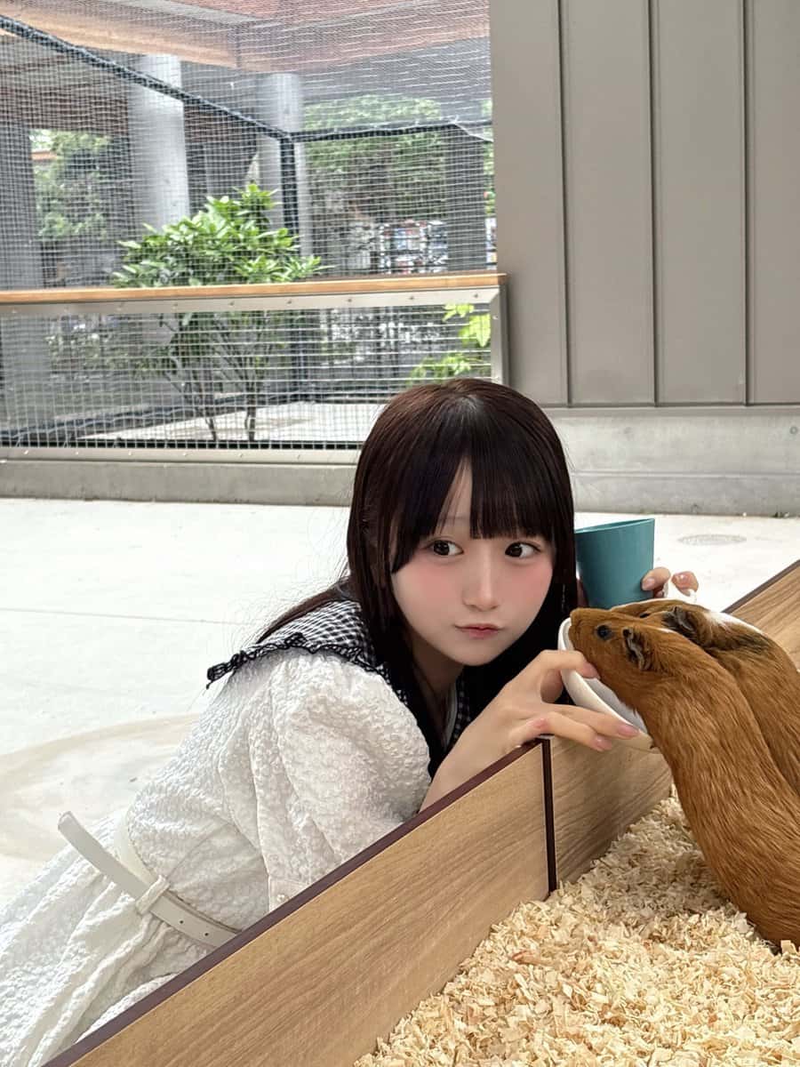 伽久耶 くらら(かぐや くらら)【紫色】プロフィール|iON!【アイオン】 画像