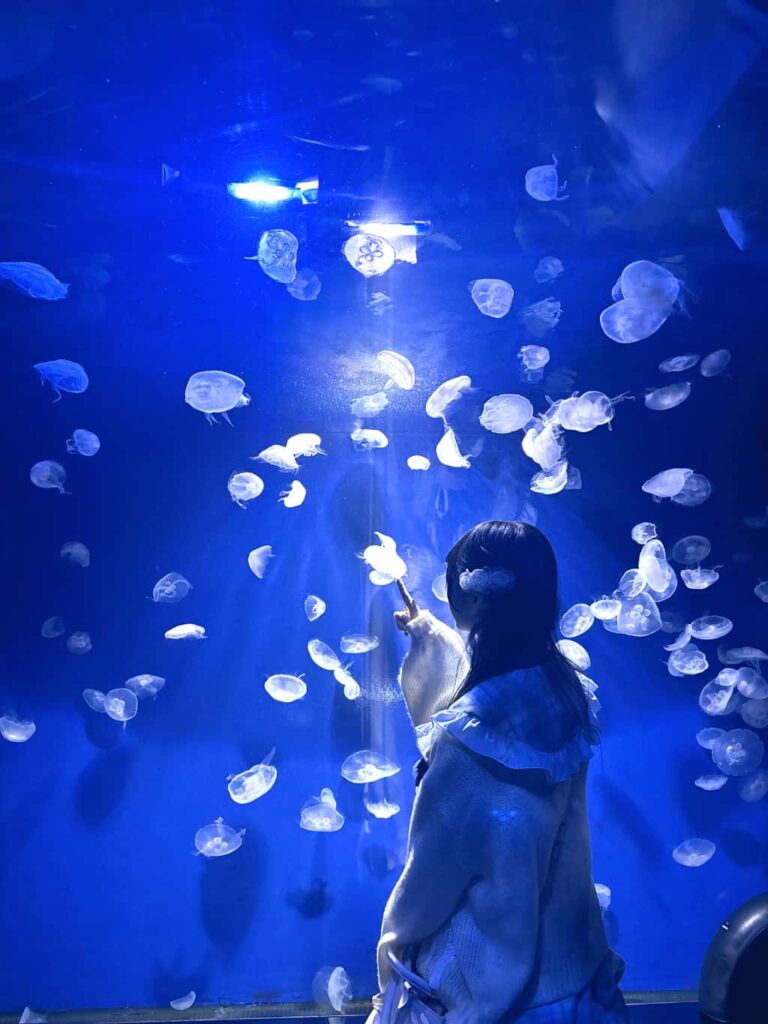 透明 くりあ(とまり くりあ)【白色】プロフィール|iON!【アイオン】